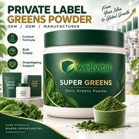 Vente en gros OEM, Marque privée, ODM, Formule personnalisée, Fournisseur en vrac, Fabricant de poudre de légumes verts, Dropshipping