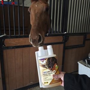 Ngựa chống viêm Omega nguồn chất lỏng Hạt Lanh dầu cho tất cả các giống chung thoải mái tiêu hóa & áo điều kiện - Product Image 2