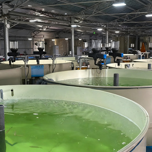 Système d'aquaculture en recirculation pour ferme piscicole industrielle à haute densité, équipement d'élevage de poissons Ras, bassin d'élevage - Product Image 5