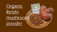 Pur Naturel Lingzhi Ganoderma Lucidum spore poudre Reishi Spore Champignon Extrait Poudre pour Café Thé