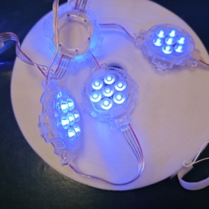 2024 haute qualité LED buld WS2811 DC24V IP65 adressable double Signal 70mm numérique Noël LED Point Lights - Product Image 1