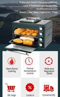 Appareil de cuisson portable pour camping et voyage : Friteuse sans huile 25L, four à gaz avec cuisinière pour extérieur