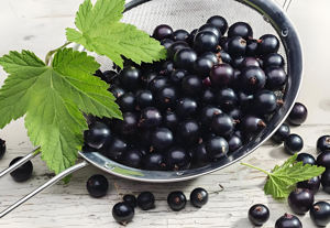 Menyediakan ekstrak kismis hitam alami ekstrak buah kismis organik ekstrak kismis hitam dengan harga terbaik - Product Image 2