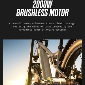 Bicicleta de Montaña de Alta Potencia con Doble Motor sin Escobillas, 48V2000W, Aluminio, Neumáticos Gruesos de 26*3.0, 17.5AH, 48km/h - Product Image 1