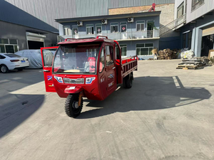Five-Wheeled Closed Truck Tricycle for Practical Use with 1000W Power and 50-70km <b>Range</b> - Product Image 3