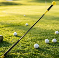Entraîneur de swing de golf avec poignée et poids réglable, aide à l'entraînement pour les golfeurs, entraîneur de swing pour la pratique du golf