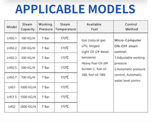 Chaudière verticale à tubes de fumée automatique de type industriel à combustion, 0,7 MPa, 0,5 t/h, utilisée pour les centrales électriques - Product Image 6