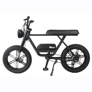 Bici Elettrica Vintage a Lunga Autonomia con <span class=keywords><strong>2</strong></span> Posti, <span class=keywords><strong>2</strong></span> Ruote da 20'', E-Bike da Trekking e Sport - Product Image 6