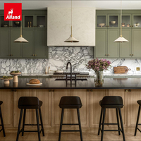 Ensemble complet d'armoires de cuisine Alland de haute qualité, suspendues au mur, de couleur verte rétro, avec un design de menuiserie vert