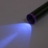 Senter UV 365nm USB-C Isi Ulang Filter Hitam Detektor Noda Kering Urine Hewan Peliharaan Logo OEM Senter UV Mini