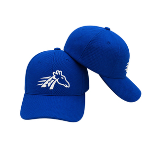 Gorra <span class=keywords><strong>de</strong></span> béisbol deportiva <span class=keywords><strong>de</strong></span> alto rendimiento con bordado doble <span class=keywords><strong>de</strong></span> caballo corriendo y malla <span class=keywords><strong>de</strong></span> nido <span class=keywords><strong>de</strong></span> abeja - Product Image 1