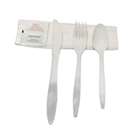 Lot de couverts jetables (couteau, fourchette, cuillère) personnalisables avec logo – Fournitures de restauration pour événements, ustensiles alimentaires à emporter – Prix usine en gros