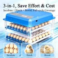 Mini-incubateur domestique avec retournement automatique des œufs, protection contre la coupure de courant, machine d'incubation pour volailles