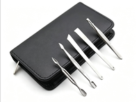 Ensemble complet d'outils de soin des ongles en acier inoxydable pour le soin quotidien et le set de manucure et pédicure de salon