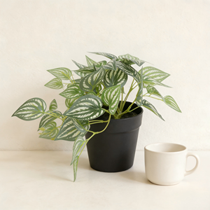 Mini plante artificielle <span class=keywords><strong>Bonsaï</strong></span> Petite plante <span class=keywords><strong>en</strong></span> <span class=keywords><strong>pot</strong></span> Plante à feuilles vertes blanches dans <span class=keywords><strong>un</strong></span> <span class=keywords><strong>pot</strong></span> <span class=keywords><strong>en</strong></span> plastique avec faux sol pour la décoration du rebord de fenêtre à la maison - Product Image 6