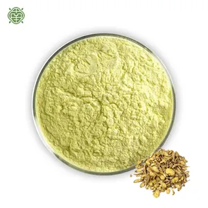 NQ Scutellaria Baicalensis Extract Revitalize Skin Unveiling A Youthful Radiance Antioxidant Powerhouse Baicalein Powder 98%