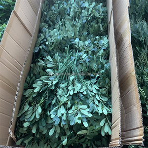 E-747 Vente en gros Décoration de jardin et de maison Feuilles de cacahuète en soie Branches courtes Feuilles de cacahuète artificielles - Product Image 3