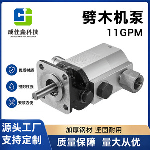 Cheng Jiaxin Hydraulic Pump Aluminum Alloy Gear Pump 500 Lpm For Wood Splitter Agricultural <b>Machinery</b> - Product Image 5