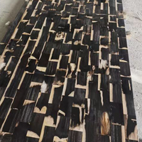 Ensemble de table basse haut de gamme en bois pétrifié noir et pierre naturelle, personnalisé avec pierres précieuses