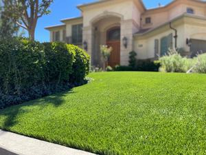 Césped <span class=keywords><strong>Artificial</strong></span> Sintético de Primera Calidad para Balcón, Techo y <span class=keywords><strong>Terraza</strong></span> - Product Image 5