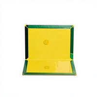 Piège à souris solide en colle anti-rongeurs Guangdong Green Strong pour les gros souris domestiques