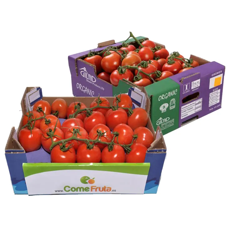 Custom Verse Groenten En Fruit Tomaat Kartonnen Verpakking Dozen