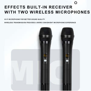 OEM-procesador de Audio Digital REV3800, prereceptor KTV con dos micrófonos, para fiesta en casa, boda y <span class=keywords><strong>Karaoke</strong></span>, gran oferta - Product Image 5