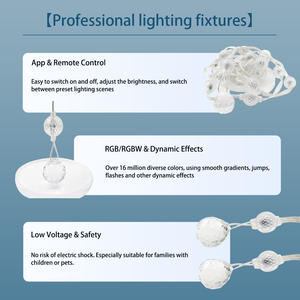 2 LED IP65 Décoration <span class=keywords><strong>de</strong></span> Noël en gros <span class=keywords><strong>12</strong></span> <span class=keywords><strong>volts</strong></span> Lumière LED pixel pour chambre à coucher Jardin Noël Mariage Fête Décoration - Product Image 3