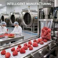 Gefreeze-droogde aardbeien, knapperig, gezonde snack, yoghurt, ontbijtgranen, topping, bakken, superfood, groothandel, bulk