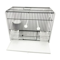 Cage à oiseaux en fil de fer sur mesure, vente en gros, fond en PVC blanc, pour la photographie d'oiseaux