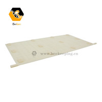 Outils d'apiculture cadres d'abeilles 250g / 500g en plastique miel peigne cadre conseil boîte peigne miel Cassette bloc abeille ruche cadre lunette