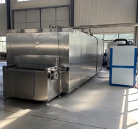Congélateur Commercial à Refroidissement Direct en Acier Inoxydable, Tunnel IQF à Congélation Rapide de 40 Degrés pour Crème Glacée, Gelato, Poisson, Stockage Ultra-Froissé