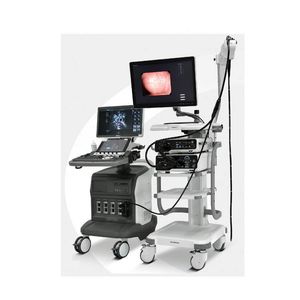 Échographe <span class=keywords><strong>endoscopique</strong></span> radial Sonoscape EUS 360, échographie <span class=keywords><strong>endoscopique</strong></span> 4D, équipement Sonoscape - Product Image 2