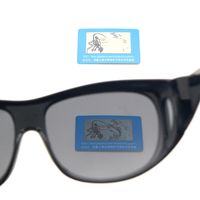Lunettes de soleil sportives polarisées pour hommes et femmes avec logo personnalisé, verres TAC, monture PC, pour la vision nocturne et la moto, à prix abordable