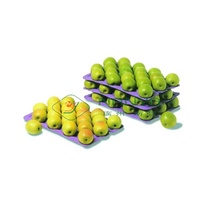 Plateau à fruits en plastique, moulure en tpu, plateau à fruits, machine d'emballage gratuite