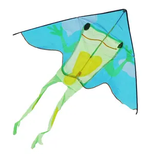 China manufacturer triangle shape kite frog kite for kids