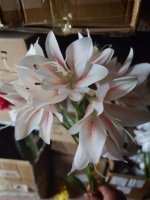 LUYI Künstliche Lilien-Blumenstiele Seiden-Bouquet Realistische Langstiel-Blumen Langlebige Hochzeits-Heimdekoration Valentinstag