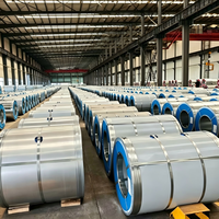 Peinture Métallique Nacrée Revêtue de PVDF 0,5 mm 1200 mm Bobine d'Acier Prépeinte PPGI Haute Durabilité