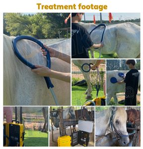 Máquina de Terapia PEMF para Caballos para Relajar los Músculos Tensados, Aliviar el Estrés Físico y Mejorar la Circulación Sanguínea - Product Image 6