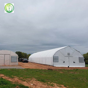 Agricultura Comercial Personalizado Gran Invernadero Estándar Marco de acero galvanizado en caliente Cúpula arqueada Túnel Invernadero Plástico PE - Product Image 2