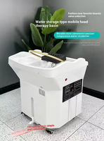 Bol de shampooing portable sans plomberie avec réservoir d'eau pour spa de tête