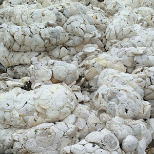 วัตถุดิบก้อนยางธรรมชาติที่มีความแข็งแรงสูงสำหรับการขึ้นรูปชิ้นส่วนยานยนต์เกรดทางการแพทย์ที่มีความแม่นยำ - Product Image 1