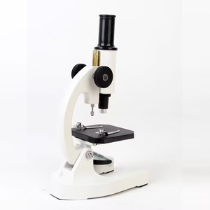<span class=keywords><strong>Microscopio</strong></span> Biológico Profesional Monocular Invertido, Estilo Libro de Texto, Imágenes Ópticas, Polarizado - Product Image 4