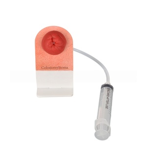 Modelo de Ostomía Fecal de Simulación de Mesa, Modelo de Cuidado de Ostomía para Entrenamiento de Enfermeras - Product Image 1