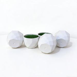 Pots à fleurs en plastique Paulon 6,5 cm, modèle Diamond Basin blanc, pour décorations de bureau, jardinières écologiques - Product Image 4