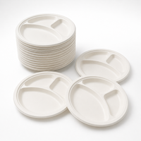 Assiette Ronde Jetable Compostable en Bagasse de Canne à Sucre à 3 Compartiments de 10 Pouces pour Buffets et Traiteurs – Choix Durable