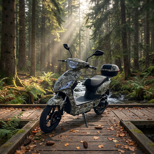 <span class=keywords><strong>Trottinette</strong></span> <span class=keywords><strong>électrique</strong></span> à assistance au pédalage haute performance 48V 45 km/h avec moteur moyeu 1000W, la plus vendue en UE, directement de l'usine OEM - Product Image 5