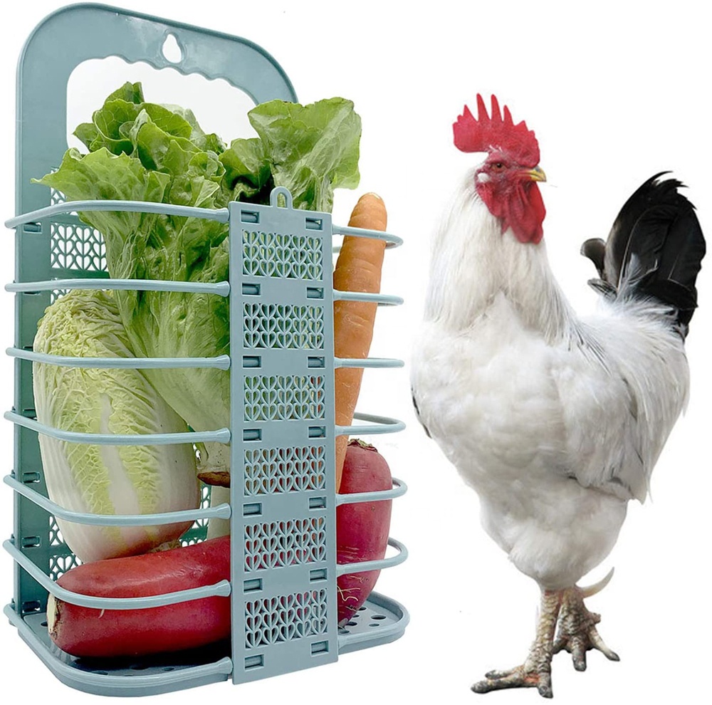 Promotion french, Acheter des french produits et articles en