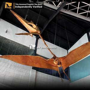 My Dino DS024 - <span class=keywords><strong>Esqueleto</strong></span> de Pterodáctilo Volador Realista para Decoración de Parques Temáticos de Diversión, en Venta - Product Image 6
