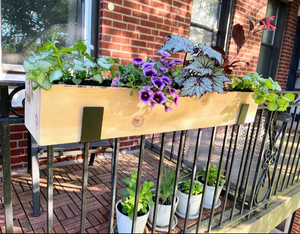 Jardinière en cèdre pour balcon, décoration de terrasse, s'adapte aux balustrades jusqu'à 2 pouces, taille personnalisée disponible, jardinière extérieure - Product Image 6